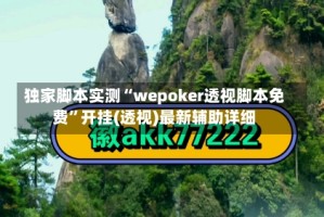 独家脚本实测“wepoker透视脚本免费”开挂(透视)最新辅助详细