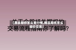 【商品期权怎么看行情,商品期权怎么询价交易】