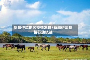 新疆伊犁地区疫情怎样/新疆伊犁疫情行动轨迹