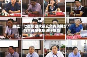路透：七国集团就设立负责关键矿产的常设秘书处进行磋商