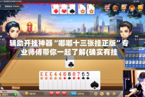 辅助开挂神器“嘟嘟十三张挂正版”专业师傅带你一起了解(确实有挂