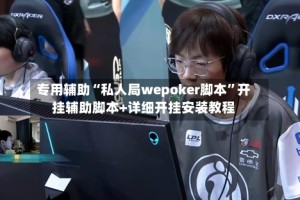 专用辅助“私人局wepoker脚本”开挂辅助脚本+详细开挂安装教程