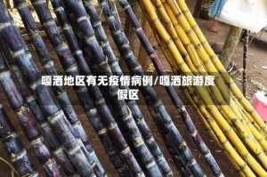 嘎洒地区有无疫情病例/嘎洒旅游度假区