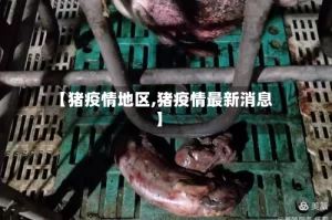 【猪疫情地区,猪疫情最新消息】