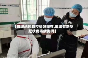 【麻城地区有疫情吗现在,麻城有新型冠状病毒病例吗】