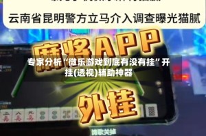 专家分析“微乐游戏到底有没有挂”开挂(透视)辅助神器