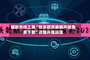 辅助开挂工具“微乐捉鸡麻将开挂免费下载”详细开挂玩法