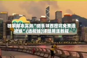 独家脚本实测“微乐陕西挖坑免费透视版”(透视挂)详细用法教程