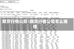 期货行情公司/期货行情公司怎么赚钱