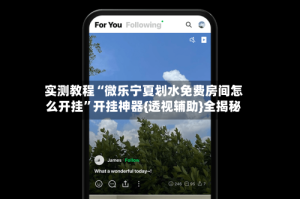 实测教程“微乐宁夏划水免费房间怎么开挂”开挂神器{透视辅助}全揭秘
