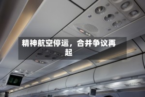 精神航空停运，合并争议再起