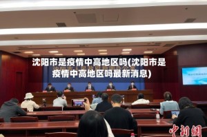 沈阳市是疫情中高地区吗(沈阳市是疫情中高地区吗最新消息)