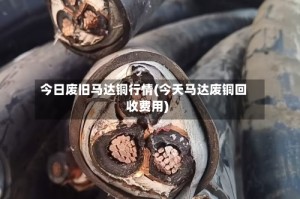 今日废旧马达铜行情(今天马达废铜回收费用)