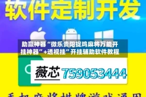 助赢神器“微乐贵阳捉鸡麻将万能开挂神器”+透视挂”开挂辅助软件教程