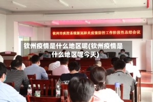 钦州疫情是什么地区呢(钦州疫情是什么地区呢今天)