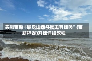 实测辅助“微乐山西斗地主有挂吗”(辅助神器)开挂详细教程
