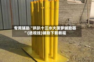 专用辅助“拱趴十三水大菠萝辅助器”(透视挂)辅助下载教程