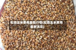 松原玉米费用最新行情(松原玉米费用最新消息)
