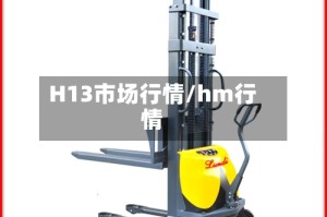 H13市场行情/hm行情
