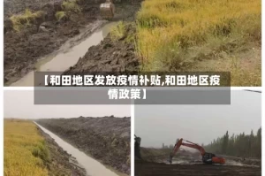 【和田地区发放疫情补贴,和田地区疫情政策】