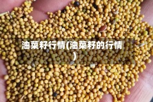 油菜籽行情(油菜籽的行情)