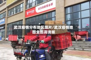 武汉疫情分布地区图片/武汉疫情地图全图高清版