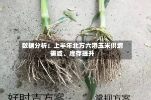 数据分析：上半年北方六港玉米供增需减、库存提升