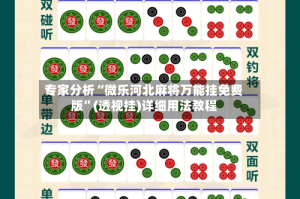 专家分析“微乐河北麻将万能挂免费版”(透视挂)详细用法教程