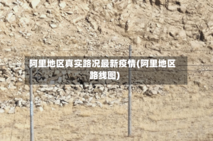 阿里地区真实路况最新疫情(阿里地区路线图)
