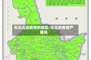 东北出现疫情的地区/东北的疫情严重吗