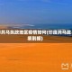 印共马执政地区疫情如何(印度共马武装割据)