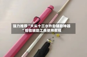 强力推荐“大头十三水外卦辅助神器”智能辅助工具使用教程