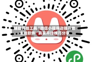 辅助开挂工具“微信小程序边锋斗地主挂软件”真实开挂技巧分享