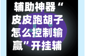 辅助神器“皮皮跑胡子怎么控制输赢”开挂辅助脚本+详细开挂安装教程