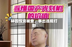 林园投资被查，事出违规打新