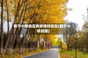 西宁小桥地区有疫情吗现在(西宁小桥封路)