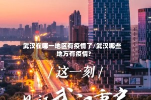 武汉在哪一地区有疫情了/武汉哪些地方有疫情?