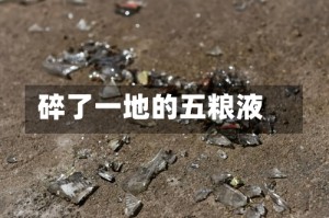 碎了一地的五粮液