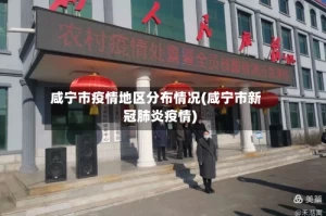 咸宁市疫情地区分布情况(咸宁市新冠肺炎疫情)