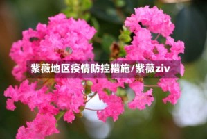 紫薇地区疫情防控措施/紫薇ziv