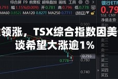 矿业股领涨，TSX综合指数因美伊和谈希望大涨逾1%