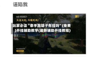 玩家必读“牵手跑胡子有挂吗”(免费)开挂辅助教学(最新辅助开挂教程)