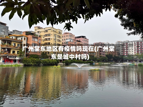 广州棠东地区有疫情吗现在(广州棠东是城中村吗)-第1张图片