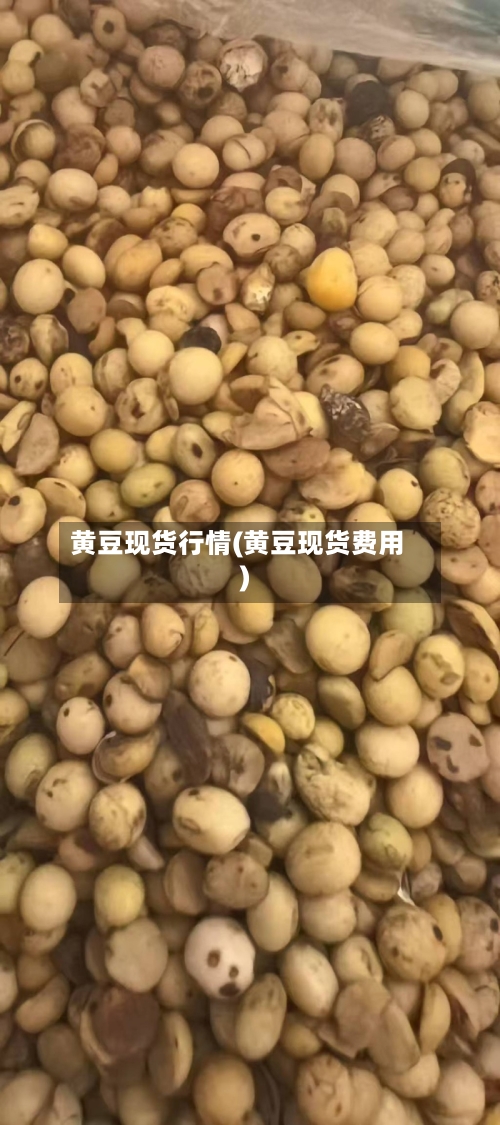 黄豆现货行情(黄豆现货费用)-第1张图片