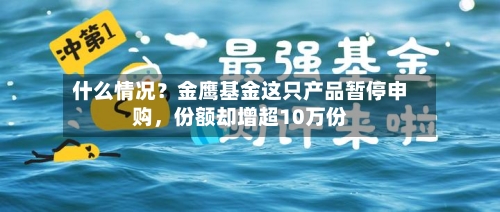 什么情况？金鹰基金这只产品暂停申购，份额却增超10万份-第1张图片