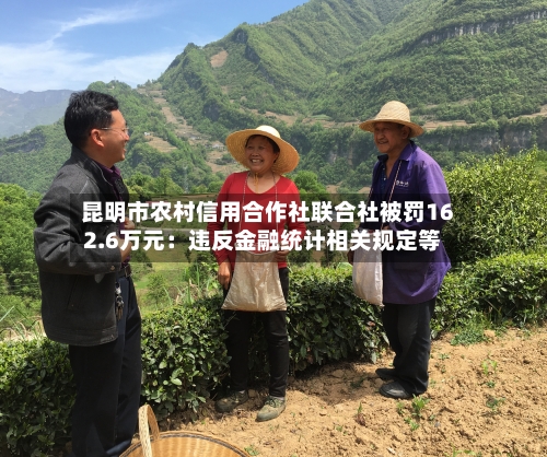 昆明市农村信用合作社联合社被罚162.6万元：违反金融统计相关规定等-第1张图片