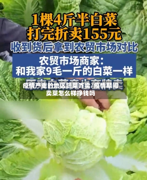 疫情严重的地区蔬菜咋卖/疫情期间卖菜怎么样挣钱吗-第1张图片
