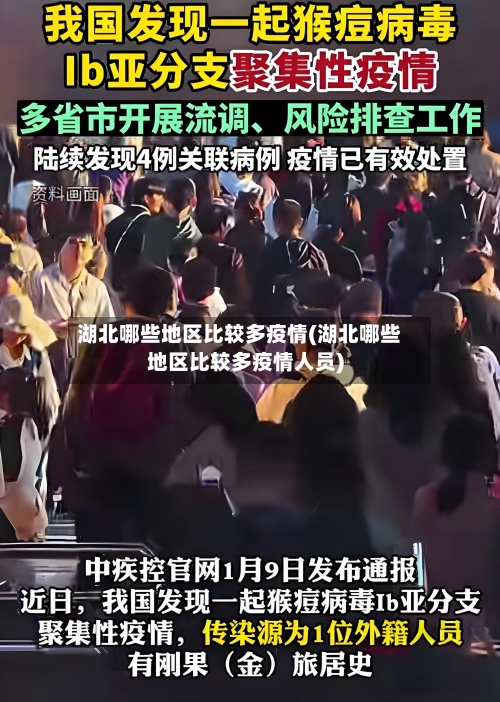 湖北哪些地区比较多疫情(湖北哪些地区比较多疫情人员)-第1张图片