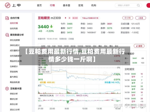 【豆粕费用最新行情,豆粕费用最新行情多少钱一斤啊】-第1张图片