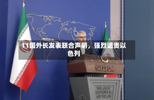 11国外长发表联合声明	，强烈谴责以色列-第1张图片